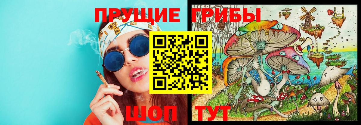 Галлюциногенные грибы GOLDEN TEACHER Азнакаево