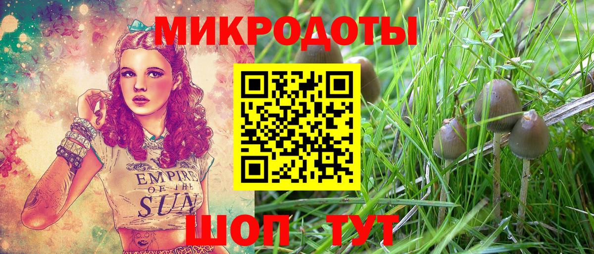 Псилоцибиновые грибы MAGIC MUSHROOMS  Вход с VPN  Азнакаево  Галлюциногенные грибы мухоморы 